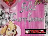 Set de Globos de 75 Piezas – Sky -sonic -labubu-paw patrol- Bluey entre otros