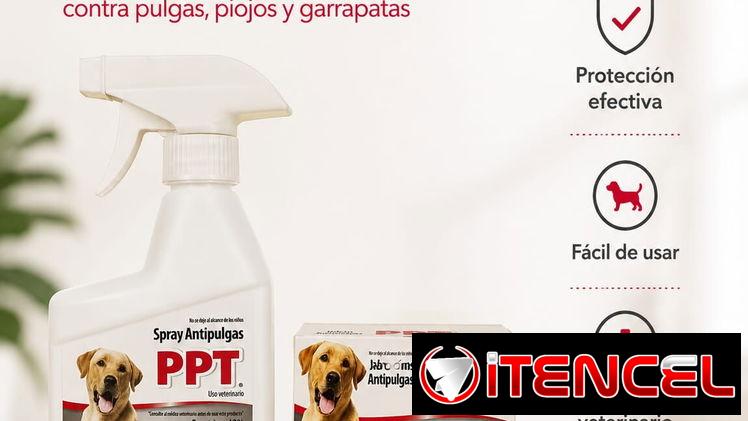 PACK ANTIPULGAS PPT