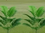 2 espigas de Arecas artificiales