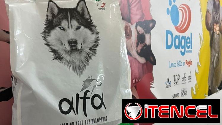 Pienso para cachorros!