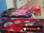 Conjunto de camas tapizadas con su colchón nuevo