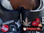Las Crocs en tendencia