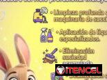 ​🧼 Limpieza Profesional: Muebles, Autos, Alfombras y Más 🧼​