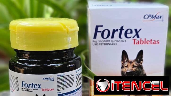 Multivitaminas para perros