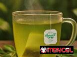 Té verde 🌿 Domicilio gratis en Plaza