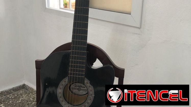 Guitarra Waldman electroacústica