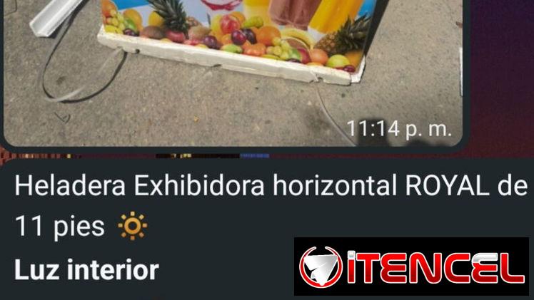 Neveras exhibidoras heladeras y otras