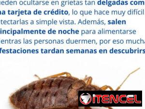 ff02c29a7e0eeb1f822557b14338bd03d1374e0e52e18c392d17dc132e744c7c