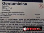 Gentamicina en Inyecciones caja con 5 Ampulas de 160mg, 2 ml
