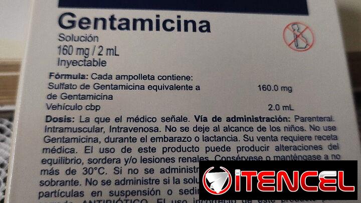 Gentamicina en Inyecciones caja con 5 Ampulas de 160mg, 2 ml