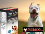 Vitaminas para perros