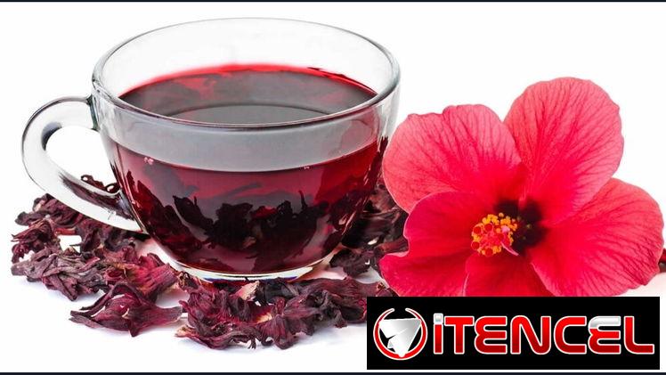 Té de Frutos rojos🍓Gratis domicilio en el Vedado