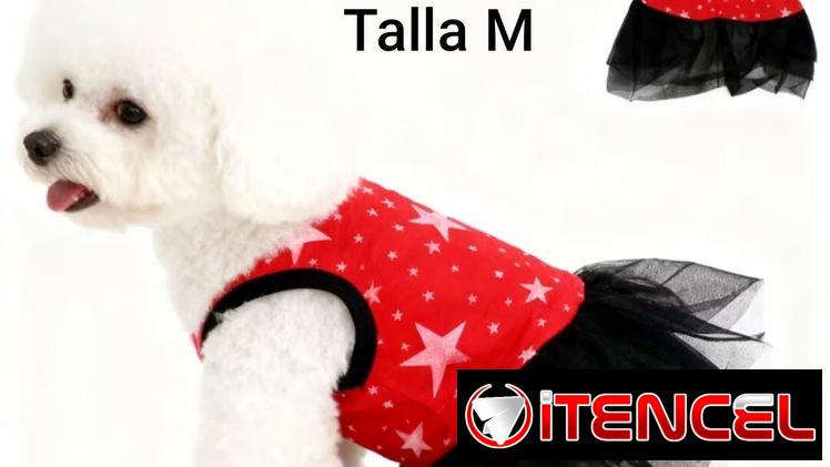 Ropa de perrita