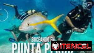 Cod.​Z Renta Habitaciones con Aire Acondicionado en Playa Girón, Ciénaga de Zapata (25 USD/Noche) – ¡A 300m de la Playa!