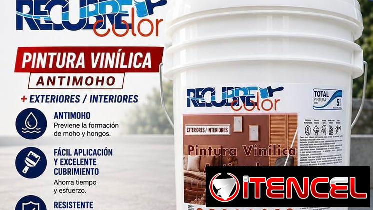 Pinturas vinil e impermeable