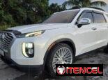Hyundai palisade límite 2021