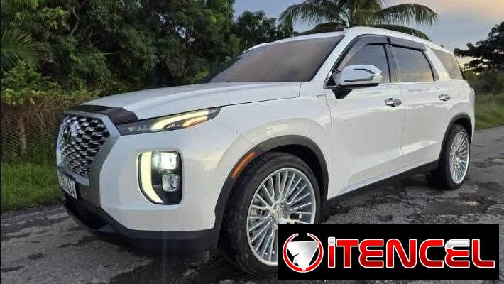 Hyundai palisade límite 2021