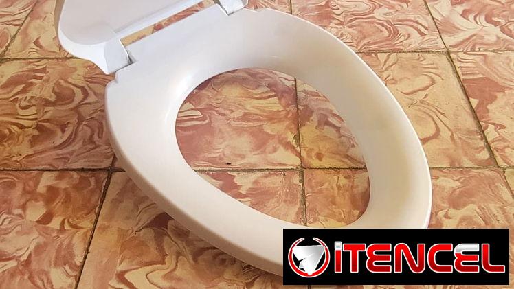 Asiento para Inodoro 19″