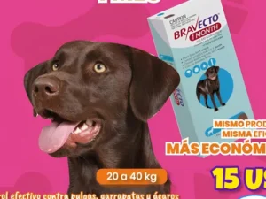 09c4c326db1cc749133f20a592cef36c142896df0bea1c8f66e4a27656c06580
