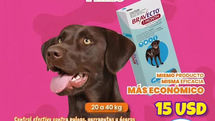 💊𝗕𝗥𝗔𝗩𝗘𝗖𝗧𝗢 𝟭M 20-40kg