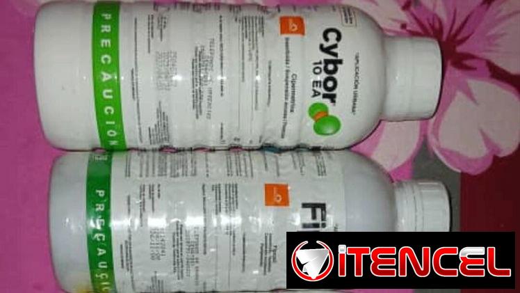 Insecticidas