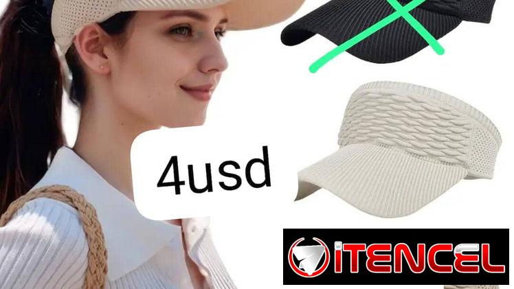 Visera