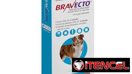 Bravecto