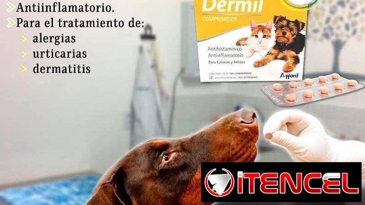 Dermil antihistamínico para perros