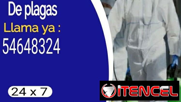 Fumigación – profesionalidad y garantía