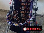 Vendo coche bastón