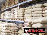 Café arábica AA (tamaño 16-18): por tonelada métrica CIF