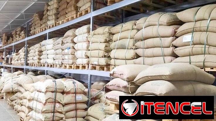 Café arábica AA (tamaño 16-18): por tonelada métrica CIF