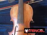 Viola Clásica Alemana del año 1911 Original