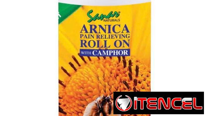 Arnica