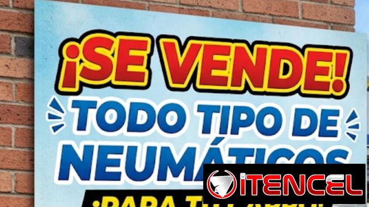 Todo tipo de neumáticos en venta