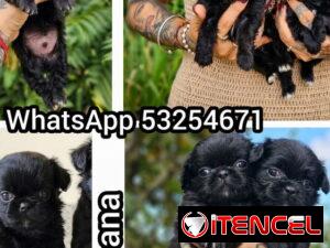 1d4001b0530679a2981e12f21644d3e7be2f10a12c27af3fd3c84574dc672555