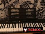 Piano eléctrico y de pilas recargables