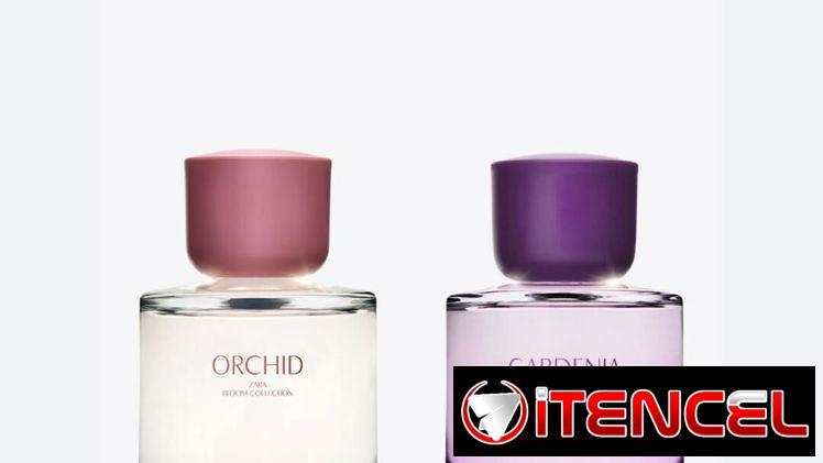 Perfumes ZARA