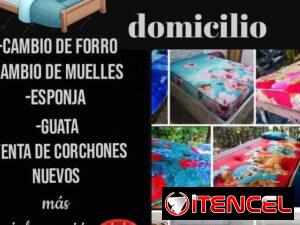 21de2e26c9d36ba11c34cef8d0dd00dfdc0c483165d548ec527ce686766c2b19