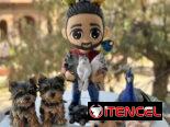 Estatuillas Personalizadas 🎁