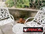 Juego de sillones de aluminio fundido