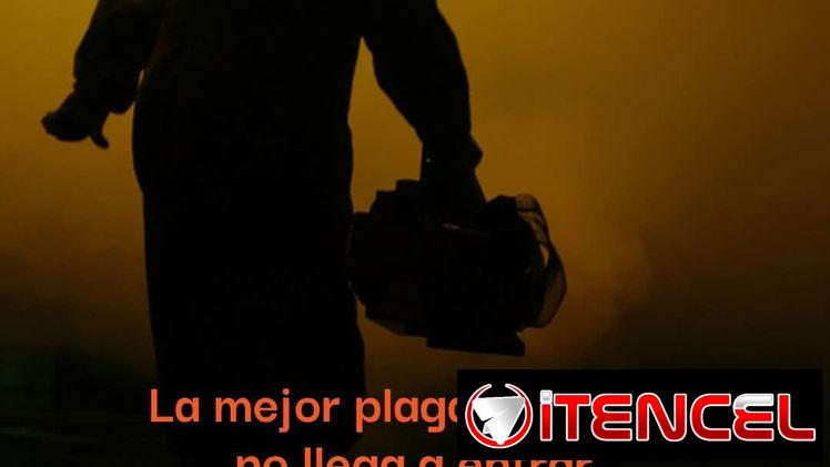 Empresa especializada en el control y exterminación de plagas