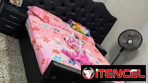 Camas tapizadas, cómodas, espejos