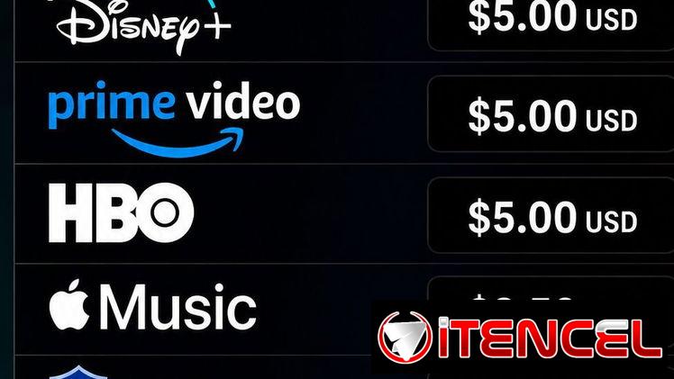 Disponible servicio de Netflix y otros servicios streaming
