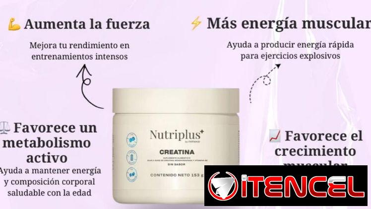 Creatina