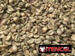 Café arábica AA (tamaño 16-18): por tonelada métrica CIF