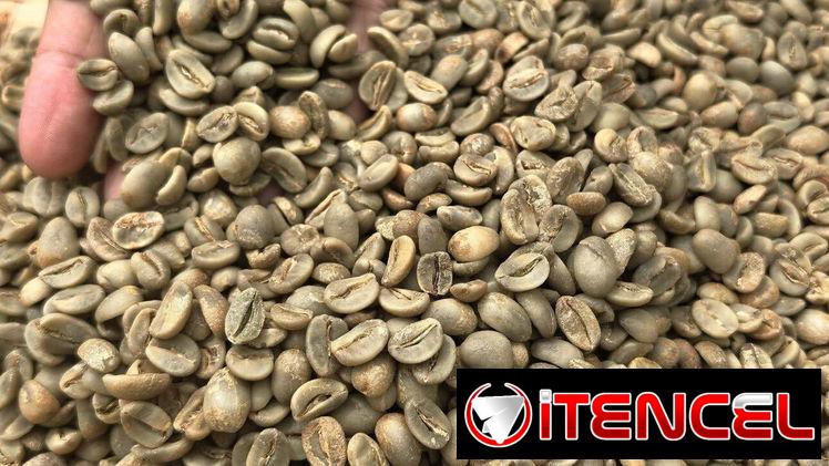 Café arábica AA (tamaño 16-18): por tonelada métrica CIF