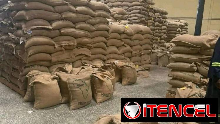 Café arábica AA (tamaño 16-18): por tonelada métrica CIF