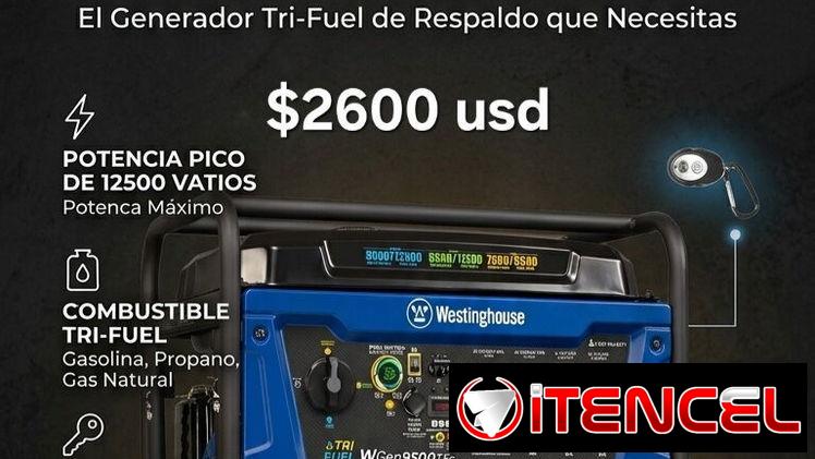 PLANTA ELÉCTRICA WESTINGHOUSE TRI-FUEL