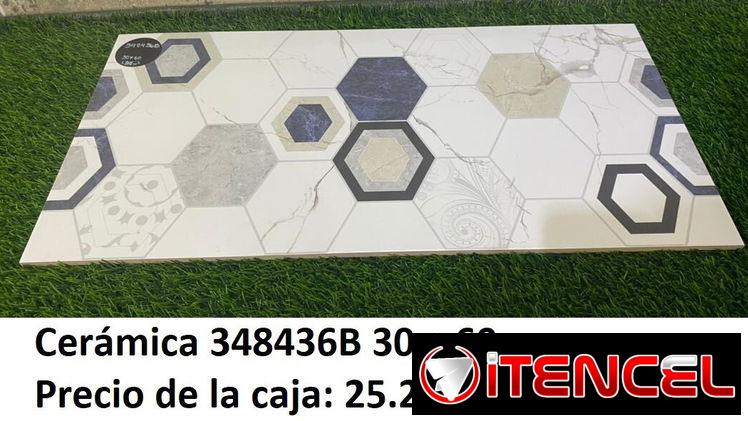 Variedad de Cerámica para revestimiento de paredes (no para pisos)